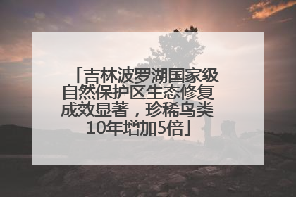吉林波罗湖国家级自然保护区生态修复成效显著，珍稀鸟类10年增加5倍