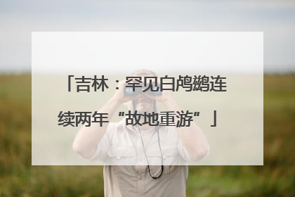 吉林：罕见白鸬鹚连续两年“故地重游”