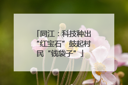 同江：科技种出“红宝石”鼓起村民“钱袋子”