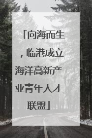 向海而生，临港成立海洋高新产业青年人才联盟