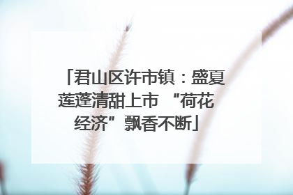 君山区许市镇：盛夏莲蓬清甜上市 “荷花经济”飘香不断