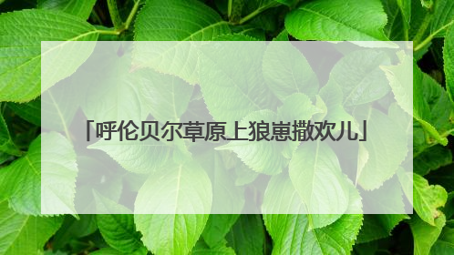 呼伦贝尔草原上狼崽撒欢儿