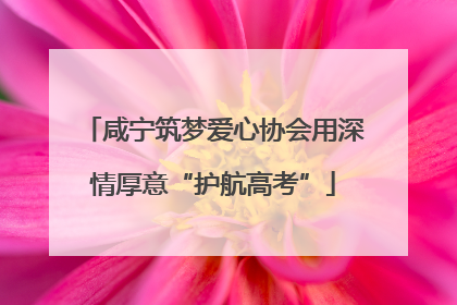 咸宁筑梦爱心协会用深情厚意“护航高考”