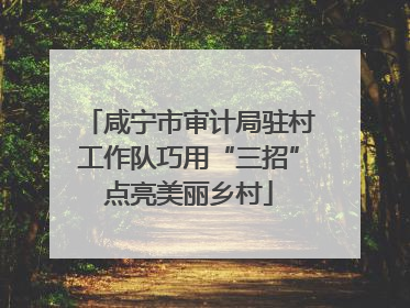 咸宁市审计局驻村工作队巧用“三招”点亮美丽乡村