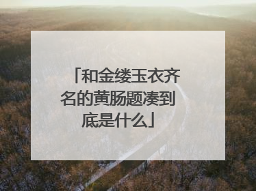 和金缕玉衣齐名的黄肠题凑到底是什么