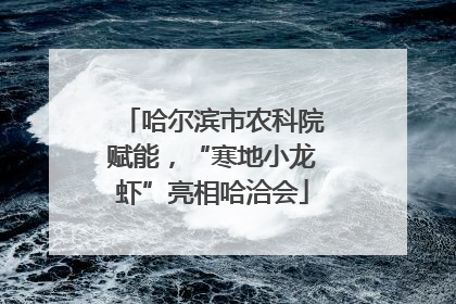 哈尔滨市农科院赋能，“寒地小龙虾”亮相哈洽会