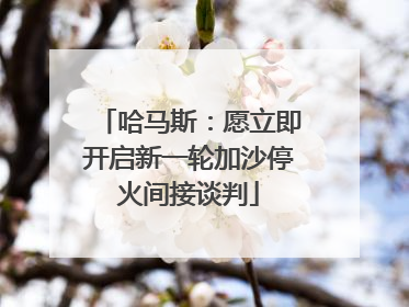 哈马斯：愿立即开启新一轮加沙停火间接谈判