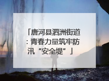 唐河县泗洲街道：青春力量筑牢防汛“安全堤”