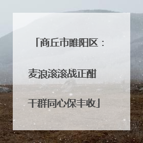 商丘市睢阳区：麦浪滚滚战正酣 干群同心保丰收