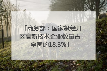 商务部：国家级经开区高新技术企业数量占全国的18.3%
