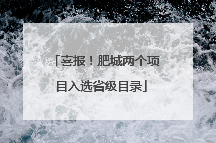 喜报！肥城两个项目入选省级目录