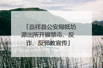 嘉祥县公安局纸坊派出所开展禁毒、反诈、反邪教宣传