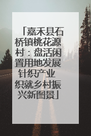 嘉禾县石桥镇桃花源村：盘活闲置用地发展针织产业 织就乡村振兴新图景
