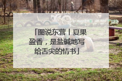 图说东营丨夏果盈香，是盐碱地写给舌尖的情书