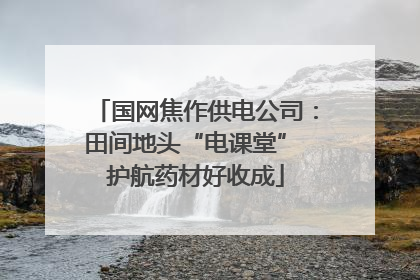国网焦作供电公司：田间地头“电课堂” 护航药材好收成