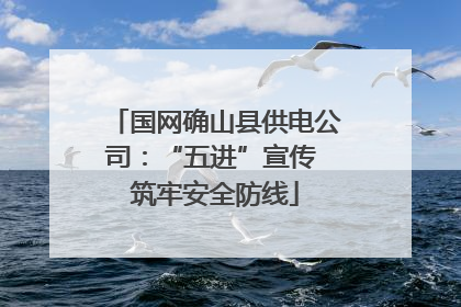 国网确山县供电公司：“五进”宣传 筑牢安全防线