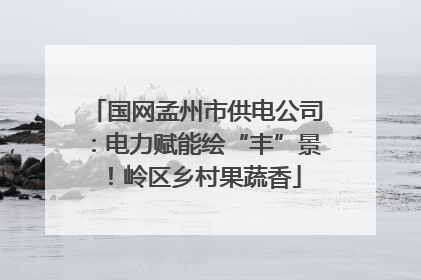 国网孟州市供电公司：电力赋能绘“丰”景！岭区乡村果蔬香