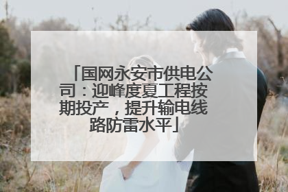 国网永安市供电公司：迎峰度夏工程按期投产，提升输电线路防雷水平