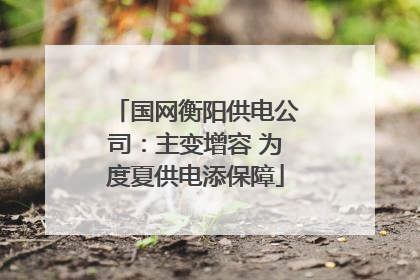 国网衡阳供电公司：主变增容 为度夏供电添保障
