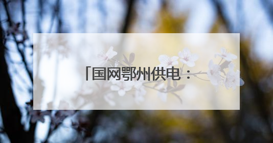 国网鄂州供电：暴雨中守护梁子湖防汛通道安澜