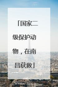 国家二级保护动物，在南昌获救