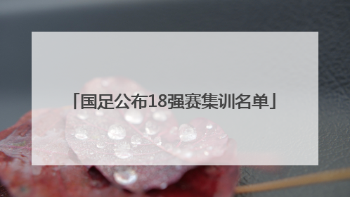 国足公布18强赛集训名单