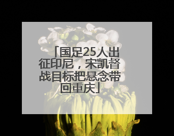 国足25人出征印尼，宋凯督战目标把悬念带回重庆