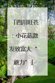 四川旺苍：小花菇激发致富大“蘑力”