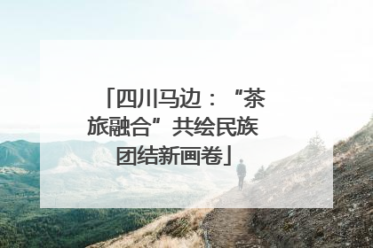 四川马边：“茶旅融合”共绘民族团结新画卷