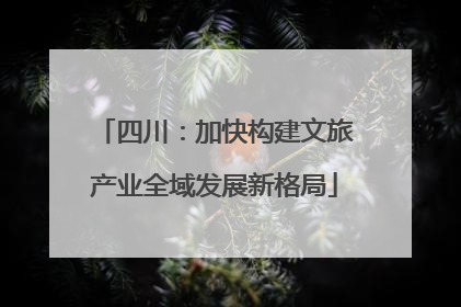 四川：加快构建文旅产业全域发展新格局