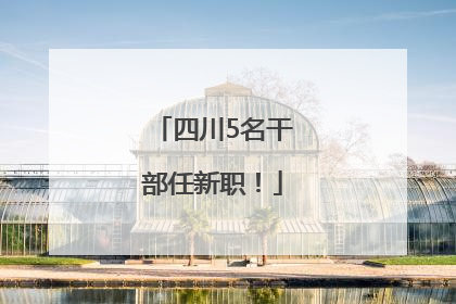 四川5名干部任新职！