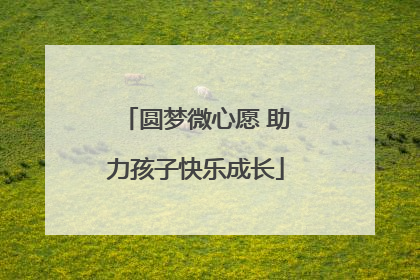 圆梦微心愿 助力孩子快乐成长