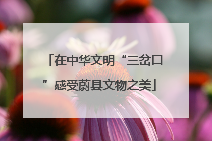 在中华文明“三岔口”感受蔚县文物之美