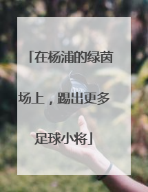 在杨浦的绿茵场上，踢出更多足球小将