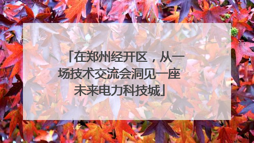 在郑州经开区，从一场技术交流会洞见一座未来电力科技城