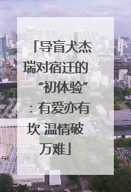 导盲犬杰瑞对宿迁的“初体验”：有爱亦有坎 温情破万难