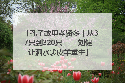 孔子故里孝贤多｜从37只到320只——刘健让泗水裘皮羊重生