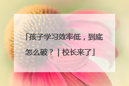 孩子学习效率低，到底怎么破？｜校长来了