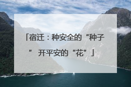 宿迁：种安全的“种子” 开平安的“花”
