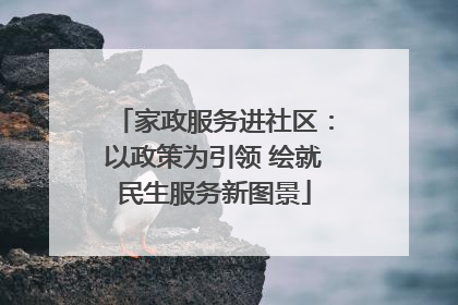 家政服务进社区：以政策为引领 绘就民生服务新图景