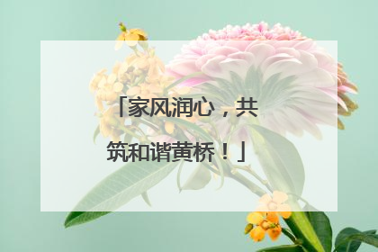 家风润心，共筑和谐黄桥！