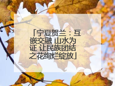 宁夏贺兰：互嵌交融 山水为证 让民族团结之花绚烂绽放