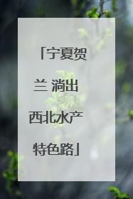 宁夏贺兰 淌出西北水产特色路