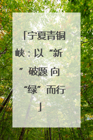宁夏青铜峡：以“新”破题 向“绿”而行
