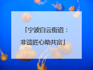 宁波白云街道：非遗匠心助共富