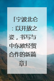 宁波北仑：以开放之姿，书写与中东欧经贸合作的新篇章