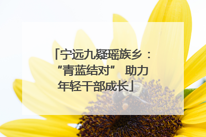 宁远九疑瑶族乡：“青蓝结对” 助力年轻干部成长