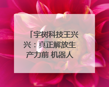 宇树科技王兴兴：真正解放生产力前 机器人格斗会成为全球受欢迎的赛事｜科技观察