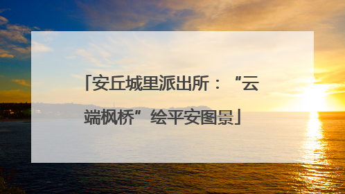 安丘城里派出所：“云端枫桥”绘平安图景