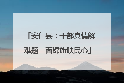 安仁县：干部真情解难题一面锦旗映民心